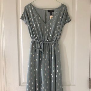 Pea in a pod maternity dress